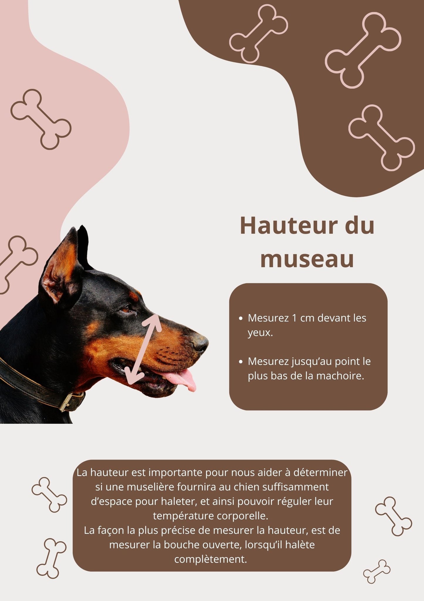 Muselière attache simple