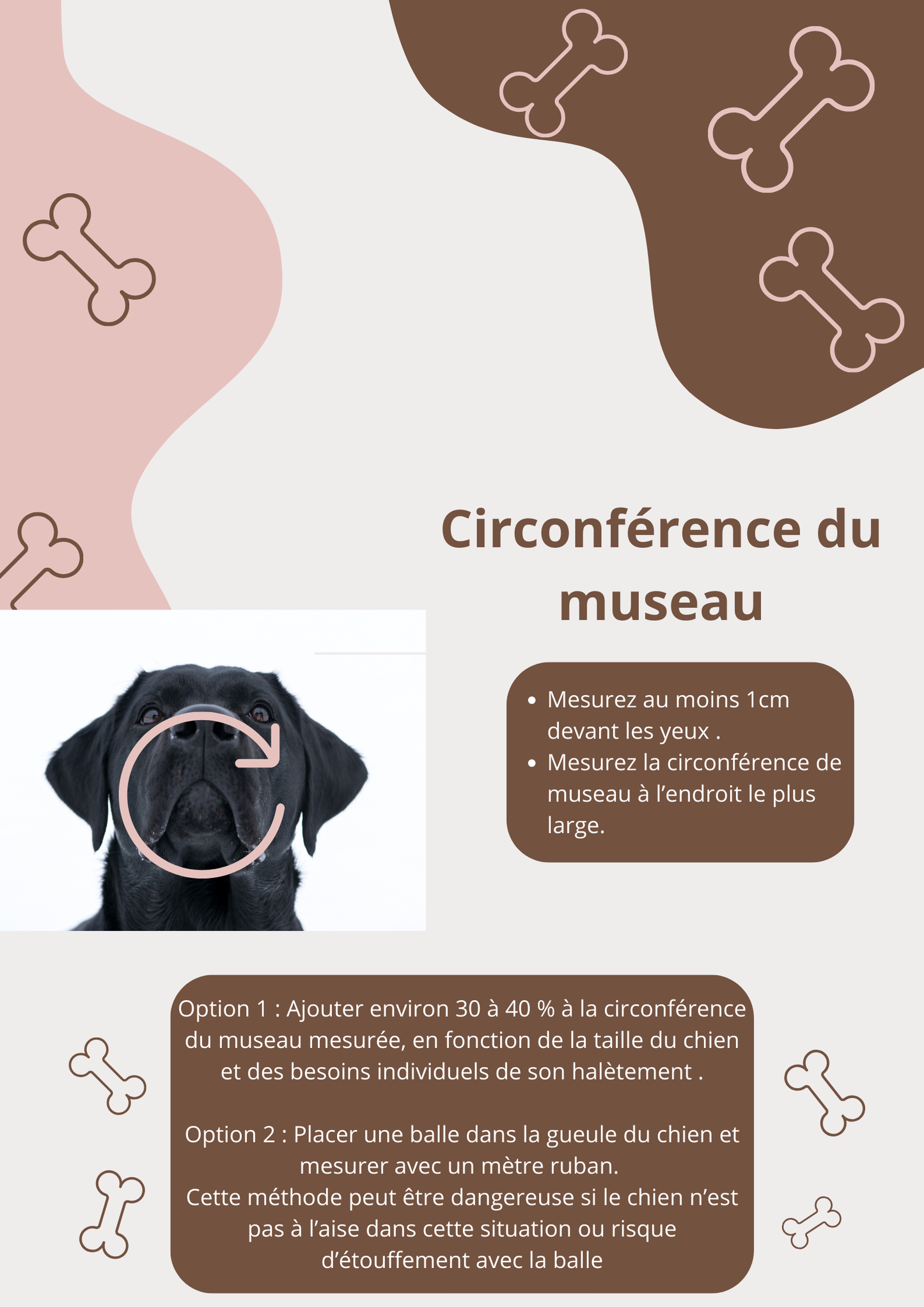 Muselière attache simple