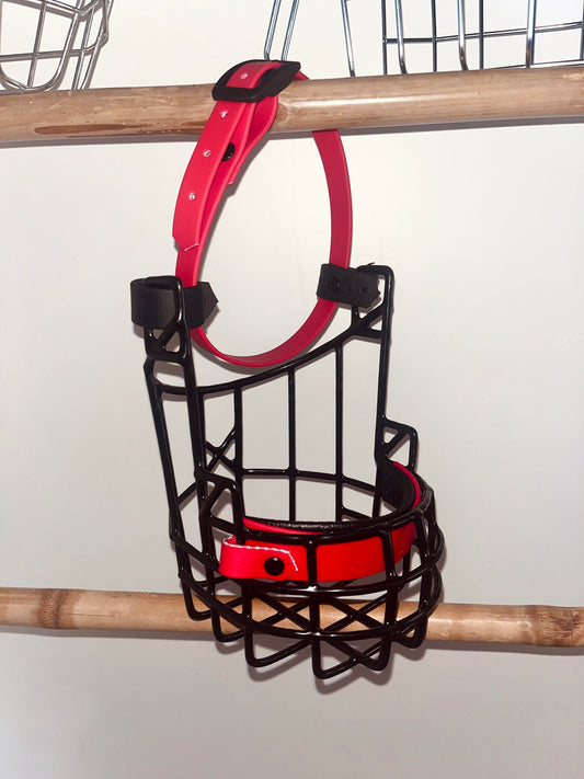 Muselière attache collier